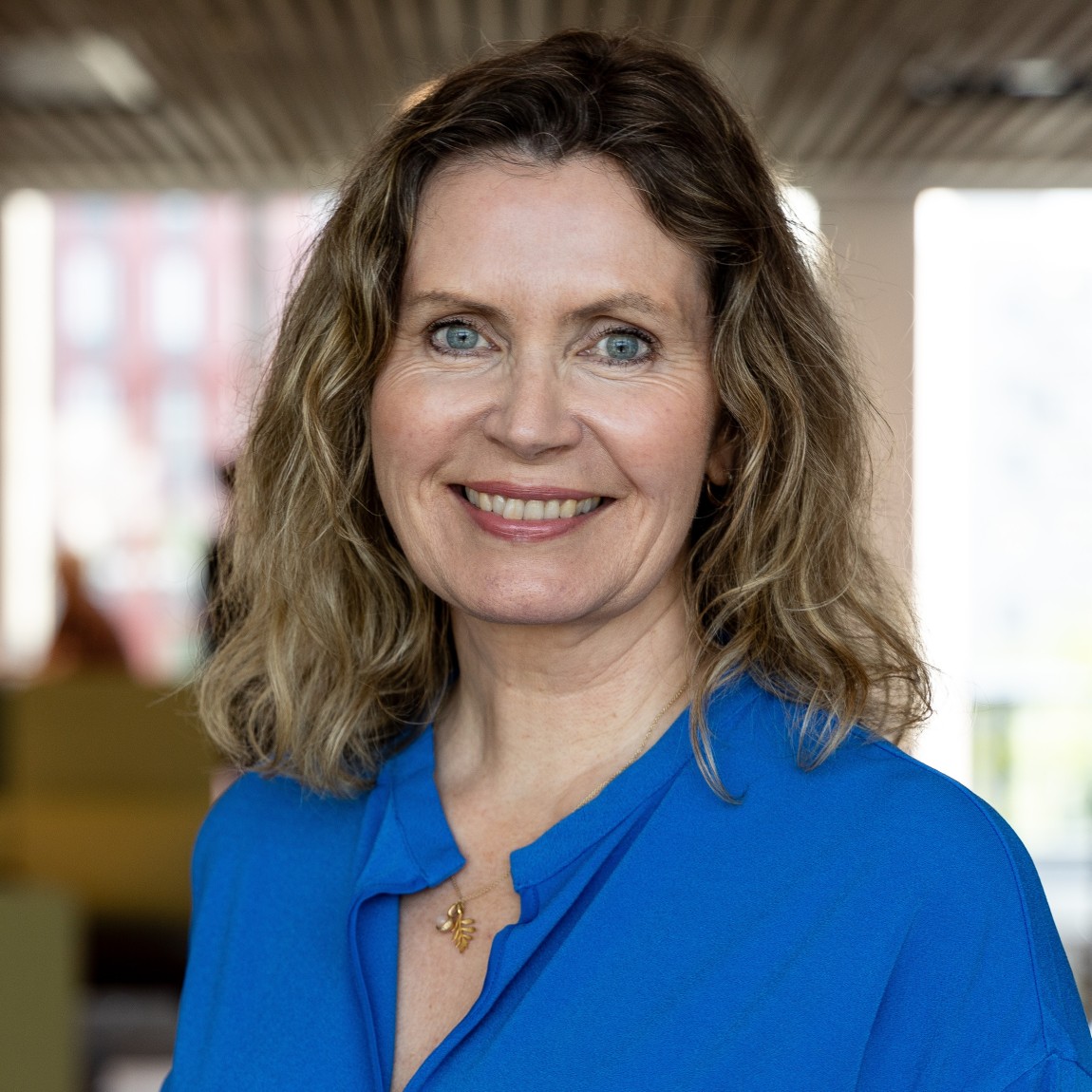 Hilde Nakken, direktør for divisjon for styrning och organisering og ledelse DFø.